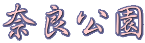 ޗǌ